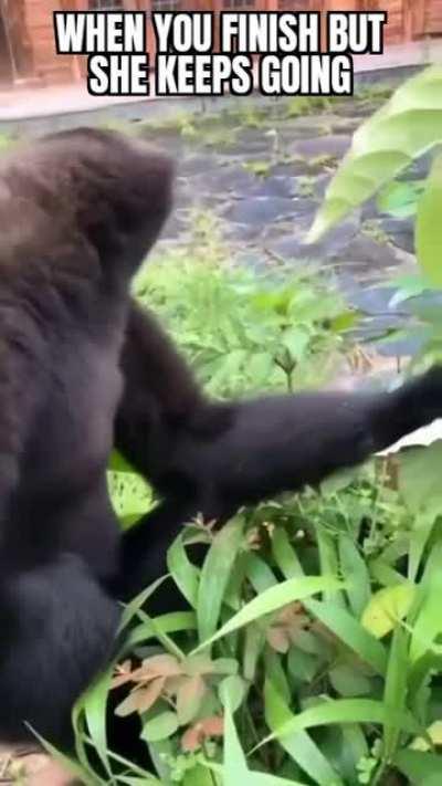 You know what I mean... right?