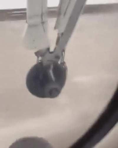 This really freaks me out