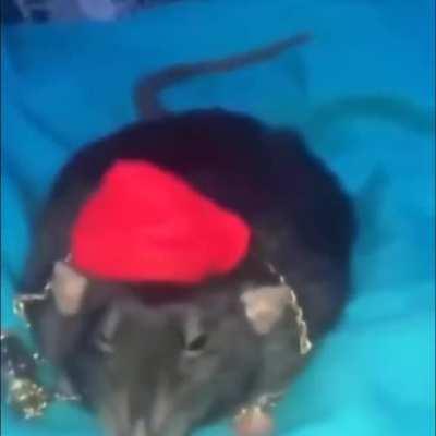 Bro itâs fuckin bigge cheese