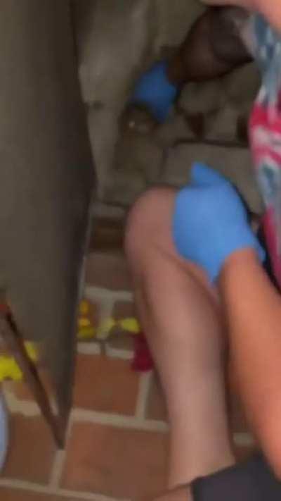 my man puts on elastic gloves too