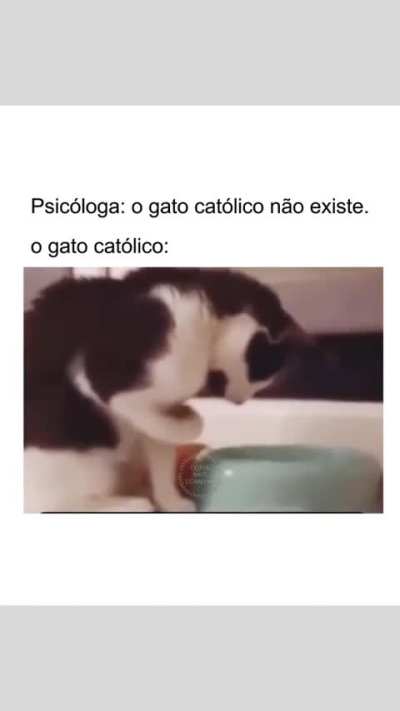 Gato Católico 🥰