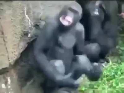 Can someone explain what’s happening here??