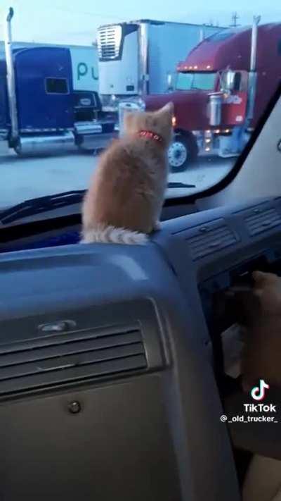 Found this trucker on tiktok, he handles 3 oranges while on the road!