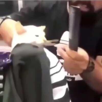 Sheeessssh 🥶🥶😳 Day 6/20