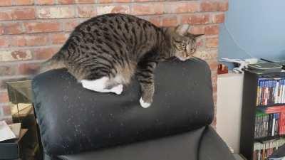 She loves to give me the crazy eyes