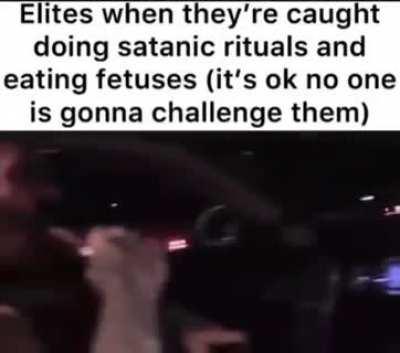 They sure are silly sometimes