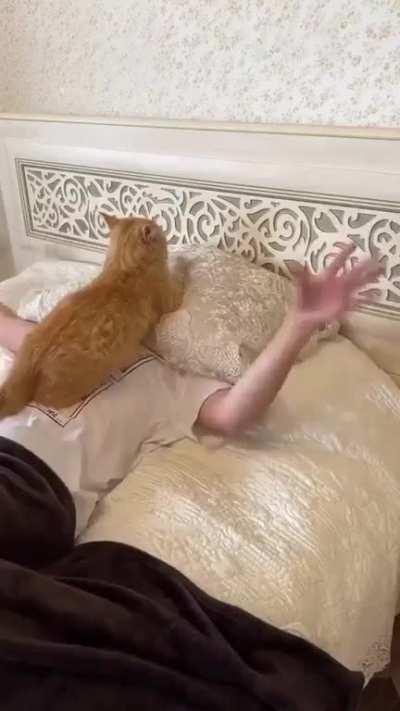 Sweet orange revenge.