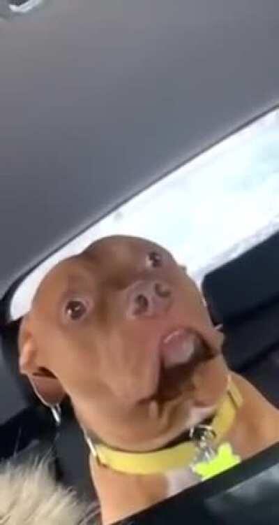 Shouldn’t have gotten in this car