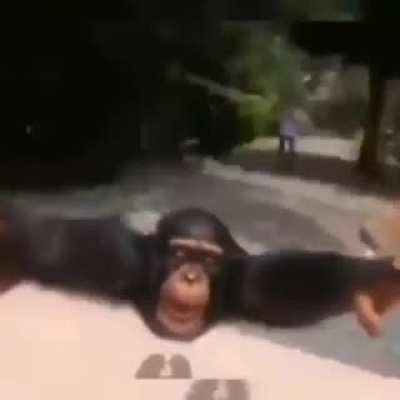 Do it for your mental health