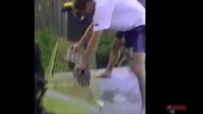 Friendly reminder to clean the ferret cage more often.