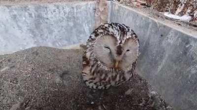 This is what satisfaction looks like 😍