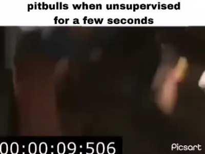 breached our defenses