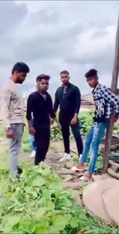 FarferfernfarnnestFarenestNcFernDuckyMcBoy