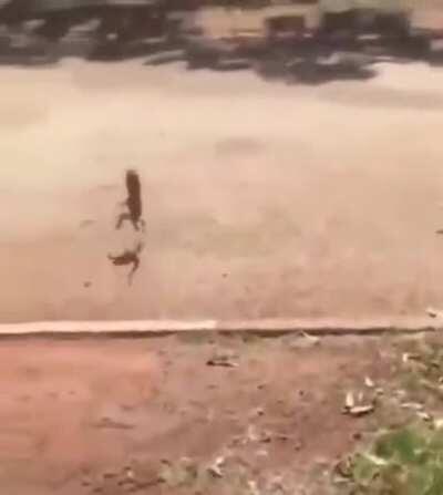 When it's time to go, it's time to go.