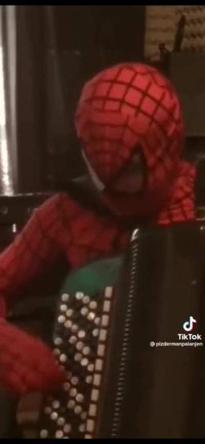 POV : You hire Spiderman in Balkans :