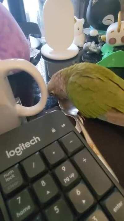 Last thing these 2 need is coffee