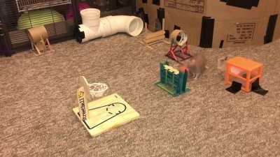 Bean’s “Mario” course (sound on)!