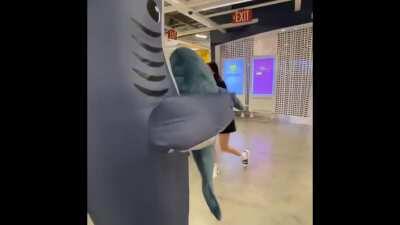 A shark walks into an ikea