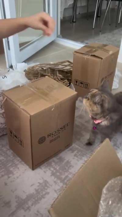 Packaging assistant 