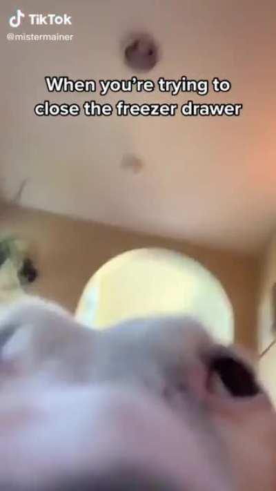 Meme chistoson de tik tuk XD