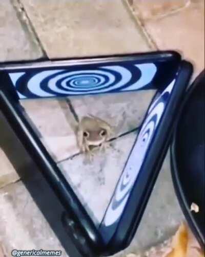 No le gusta el SHEESH D: