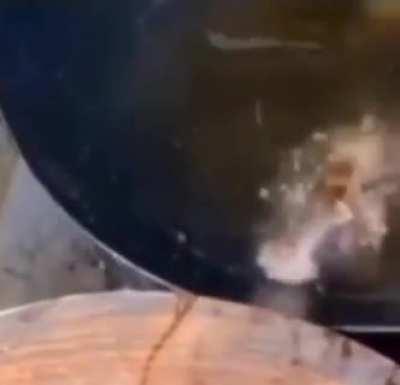 rest in peace brother