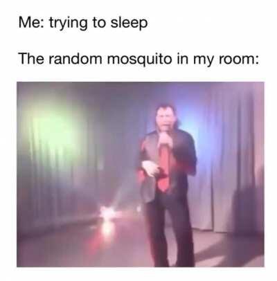 Posting random videos from my phone until I buy a new home button - day 25