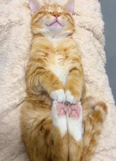 Chuck is broken. What can lays like this?