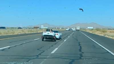 The things I see while driving on I-10