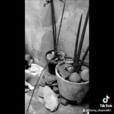 Please, trust me. He vented.