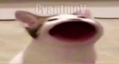 é o menino de papai é?