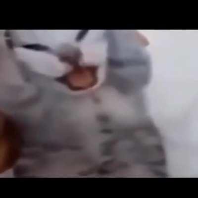 free crop para sa mga next nanik