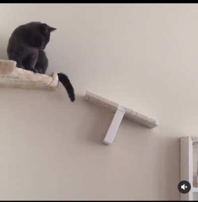 A cat wall I made for my first cat in my first apartment