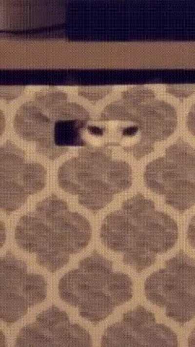 Вас заметили