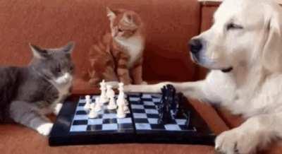 You missed the en passant, you fool!