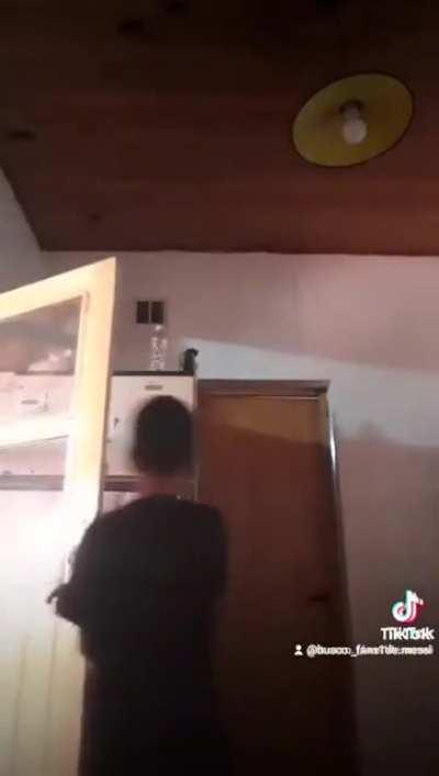 BeelcitosMemes - Video #5947