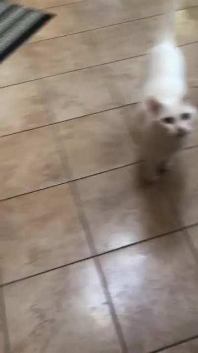 Breakfast with Waltie and Pepé