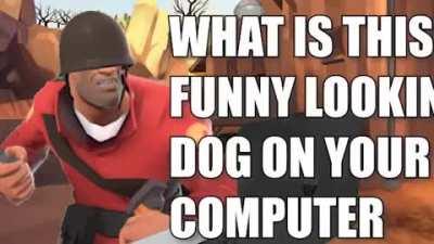 Solider likes the funny dog caw caw