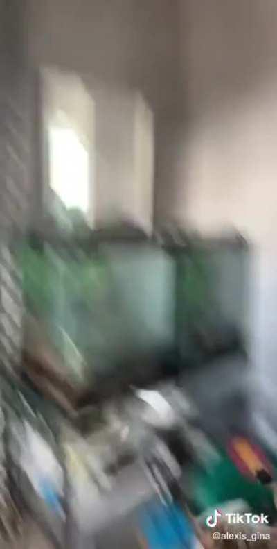 Cat gets startled when it gets stuck on fly trap paper! (Not my video)