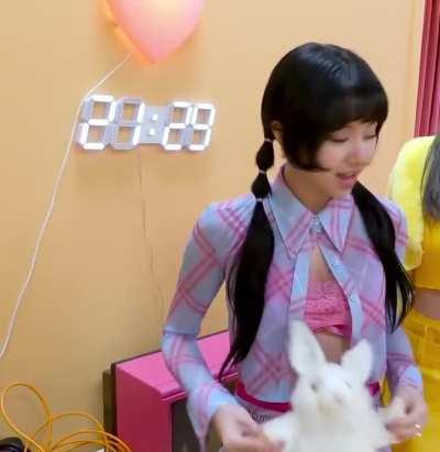 🐯 Tiger Chaeyoung preparing to devour her white rabbit. 😭