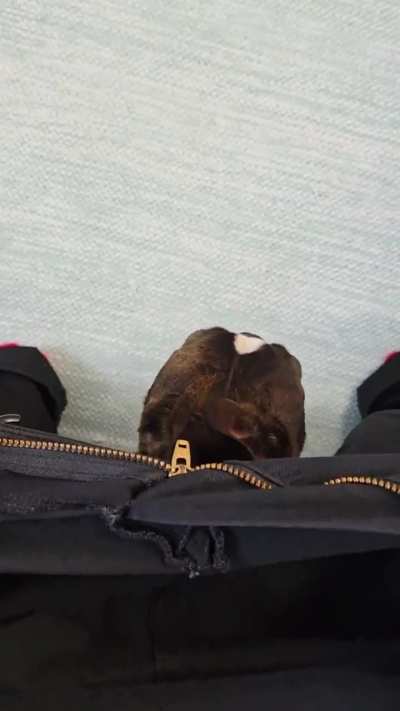 He was scared of the smoke detector 