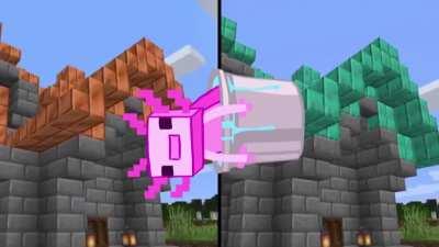 I present to you: AXOLOTL!