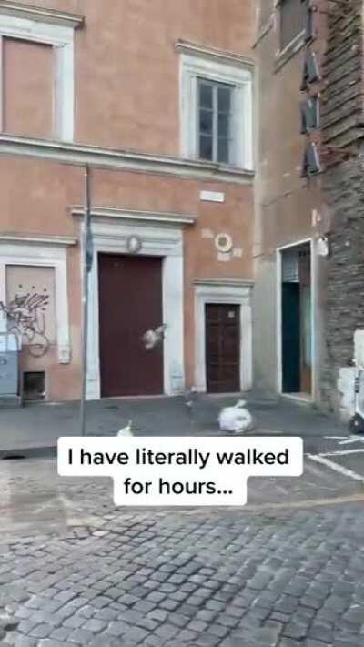 We forgot someone on earth