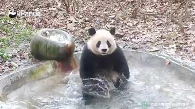 A panda a day keeps the sorrow away