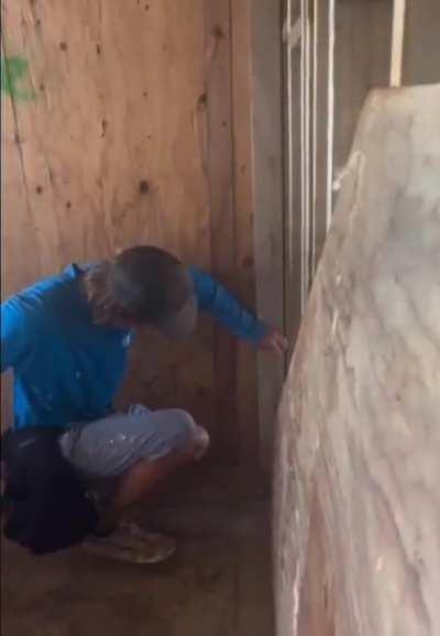 A hard hammer..🧐🤔🤔