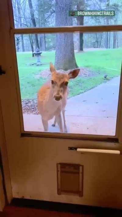 Best friends forever