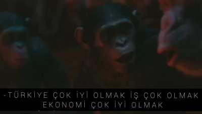 maymun birlikte güçlü