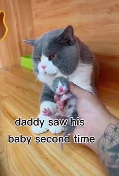 A father's love hahaha