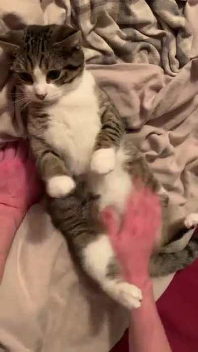 She LOVES her belly rubs 🥺🥺🥺