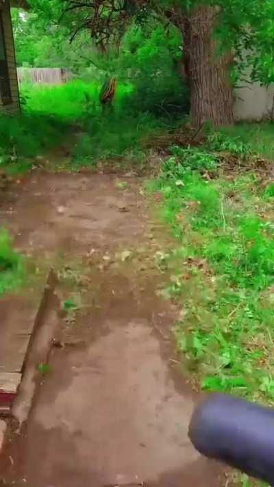 Satisfying Garden Work